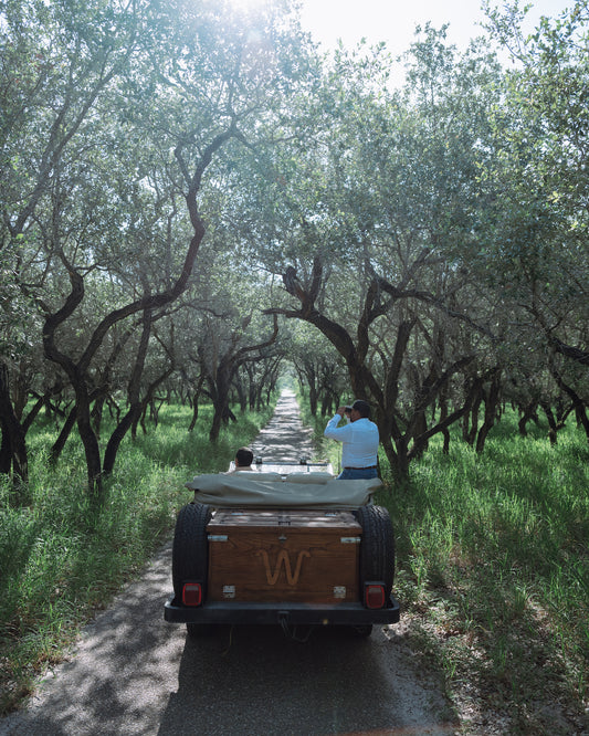 Guided Hunting at the King Ranch