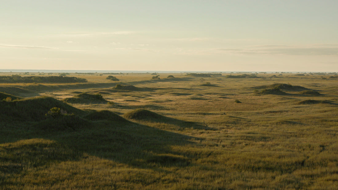 Our Commitment to Conservation