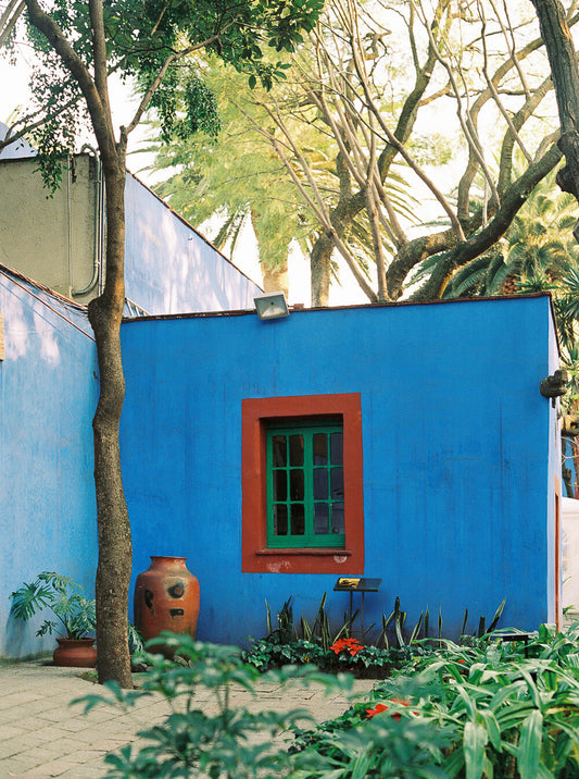 VISUAL DIARY: MEXICO CITY