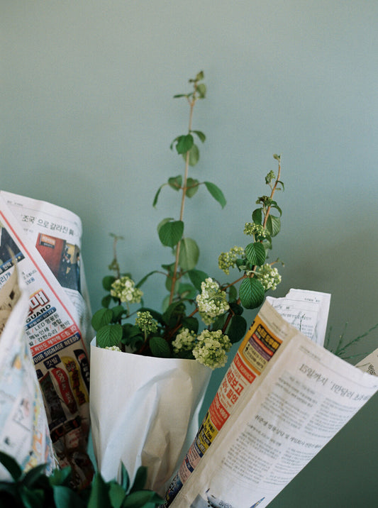 Creative Playtime: An Interview With Juju From PÜL flower LA